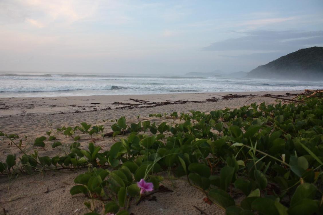 Maloquinha Itamambuca. A Charmosa De Ubatuba. Casa de férias Ubatuba